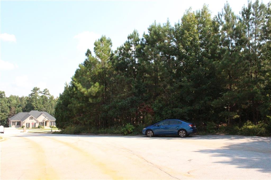 7732 Austin Court Winston, GA 30187 - Photo 24 of 25