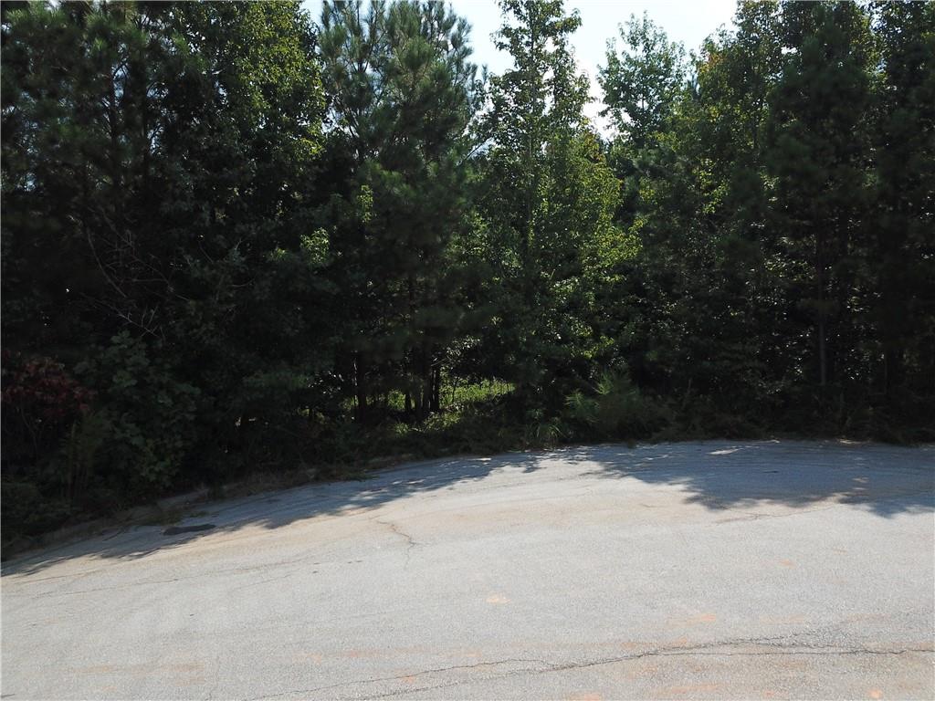 7732 Austin Court Winston, GA 30187 - Photo 4 of 25