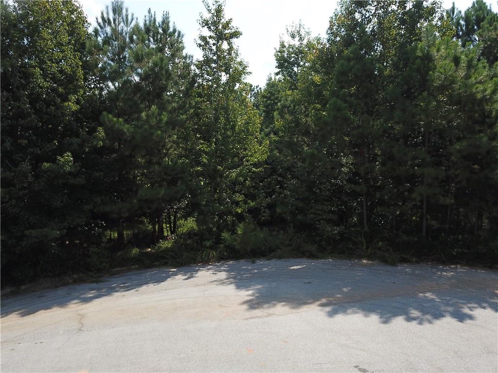 7732 Austin Court Winston, GA 30187 - Photo 5 of 25