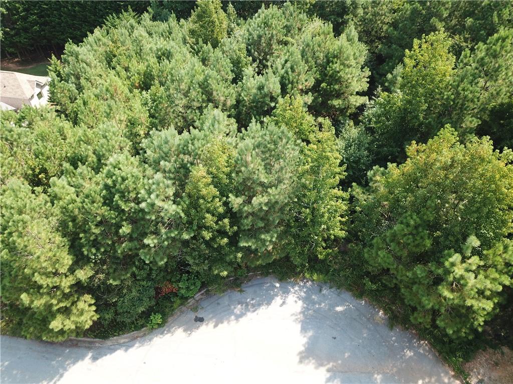 7732 Austin Court Winston, GA 30187 - Photo 7 of 25