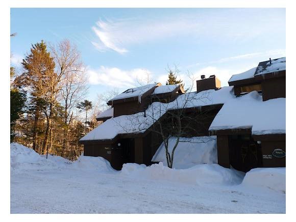 96 Ridges Way, Unit 6001 Peru, VT 05152 - Photo 1 of 1 Gallery Image 1