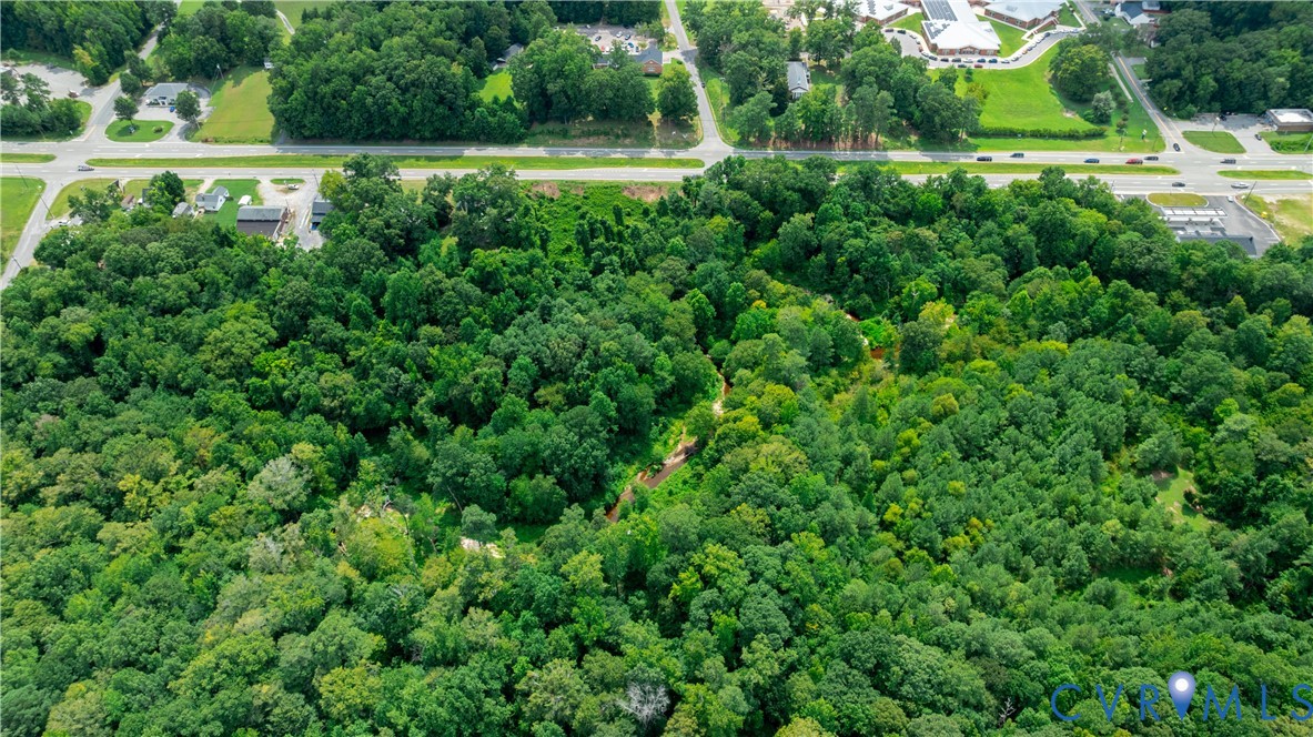 2100 East Hundred Road Chester, VA 23836 - Photo 8 of 8 a view of a lush green forest