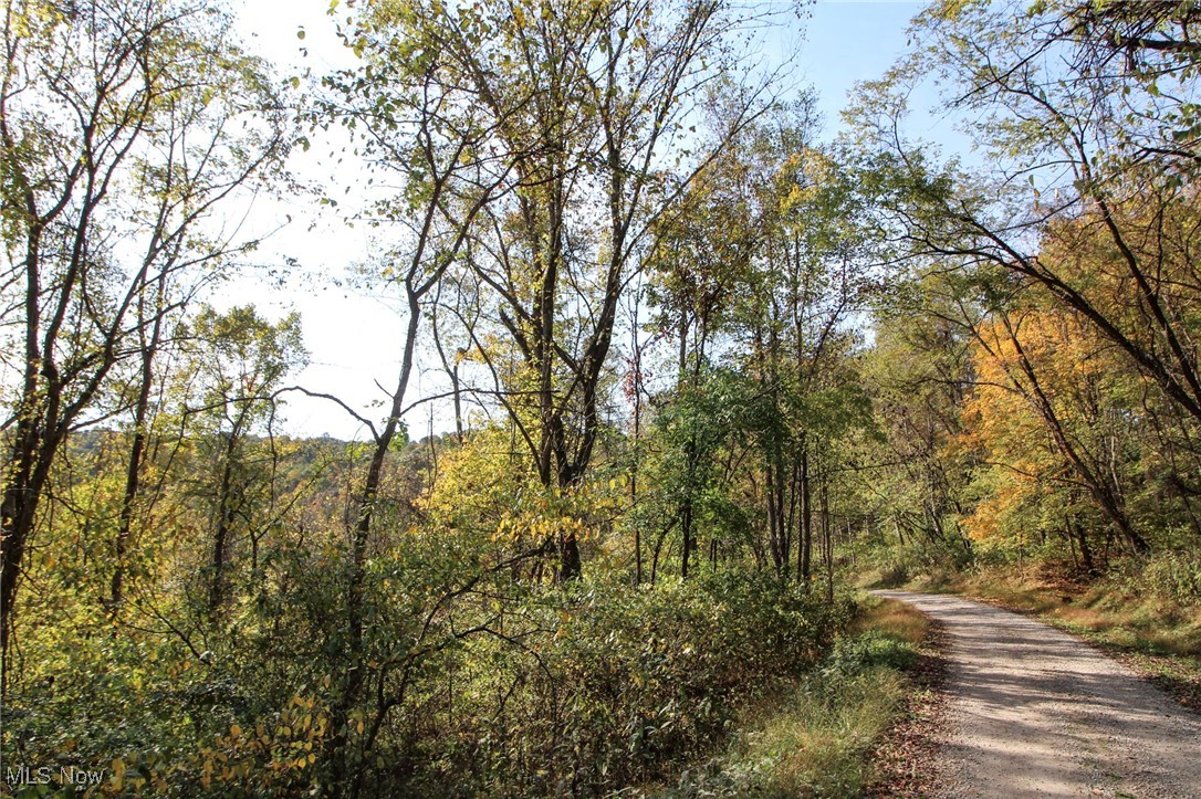 Lot 3 Brooks Road Reno, OH 45773 - Photo 6 of 17