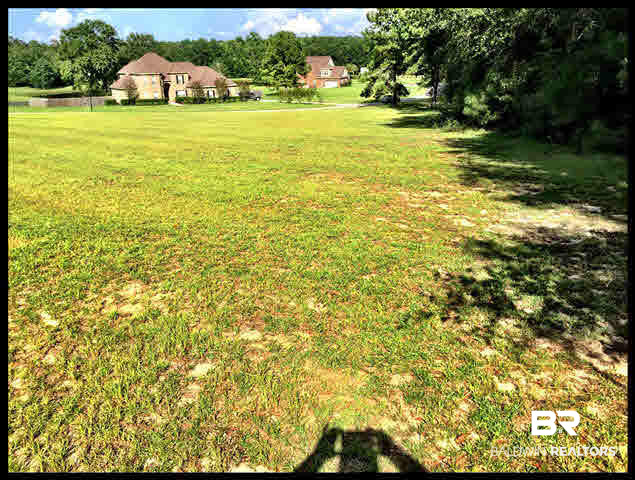 0 Deer Ridge Drive Wilmer, AL 36587 - Photo 6 of 17