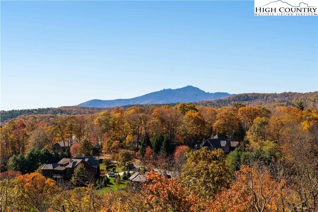 an aerial view of mountain with trees