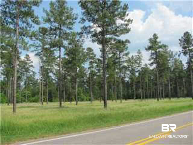 0 Wilmer Tanner Williams Road Wilmer, AL 36587 - Photo 3 of 4