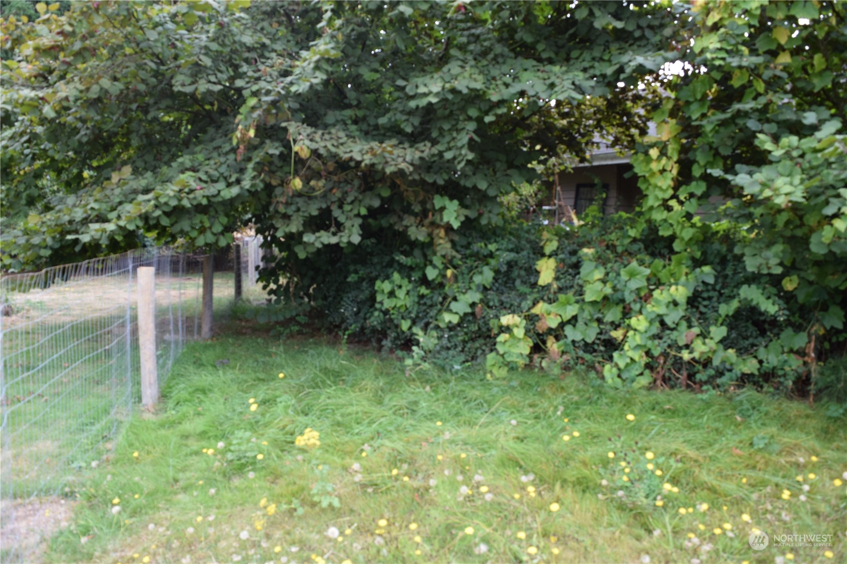 166 Ceres Hill Road Chehalis, WA 98532 - Photo 5 of 33 a view of a garden