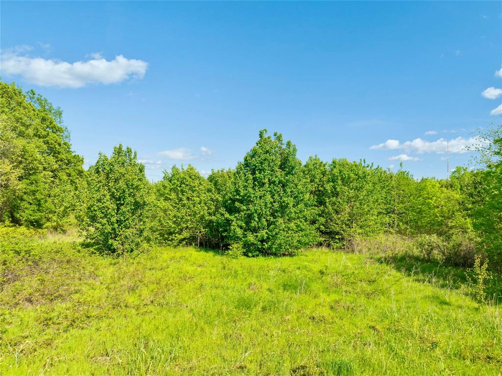 286 Northeast Loop 286 Paris, TX 75460 - Photo 9 of 17 a view of a garden