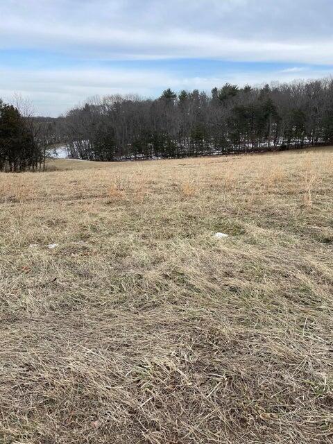 Lot 8 Bonbrook Mill Road Wirtz, VA 24184 - Photo 1 of 2 Lot 8 photo