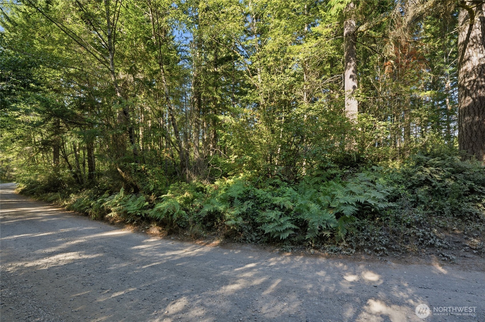 2041 East Rasor Road Belfair, WA 98528 - Photo 13 of 22 Gallery Image 13