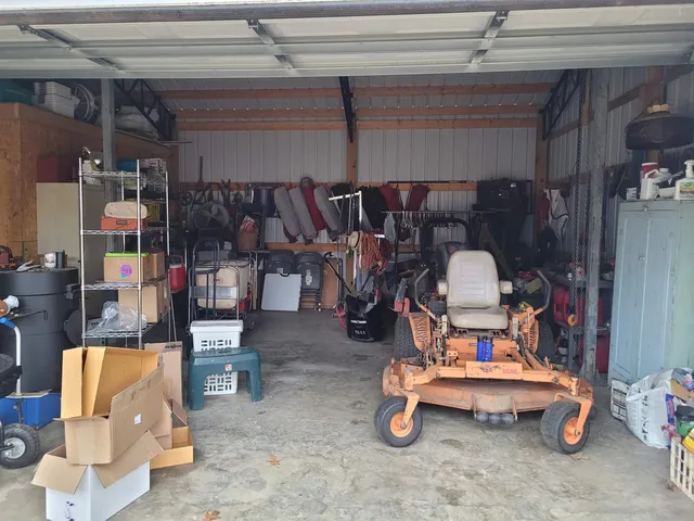 a living room filled with furniture and a potted plant