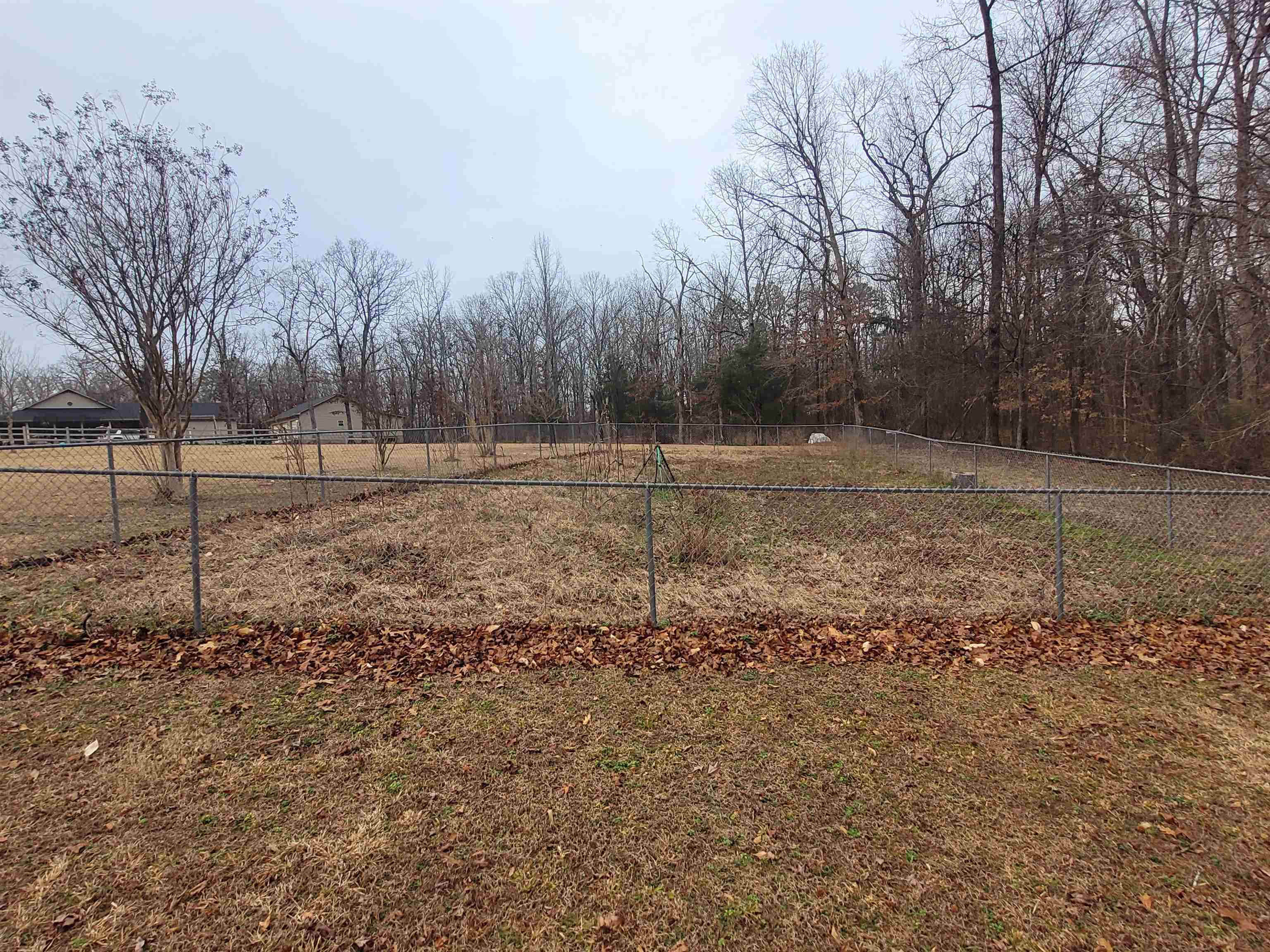 485 Robin Hood Loop Savannah, TN 38372 - Photo 33 of 40 a view of outdoor space with trees