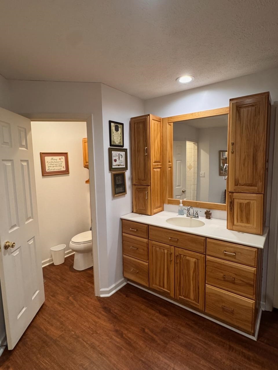 485 Robin Hood Loop Savannah, TN 38372 - Photo 39 of 40 a bathroom with a double vanity sink toilet and shower