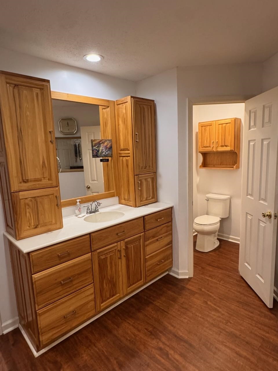 485 Robin Hood Loop Savannah, TN 38372 - Photo 40 of 40 a bathroom with a double vanity sink and a large mirror