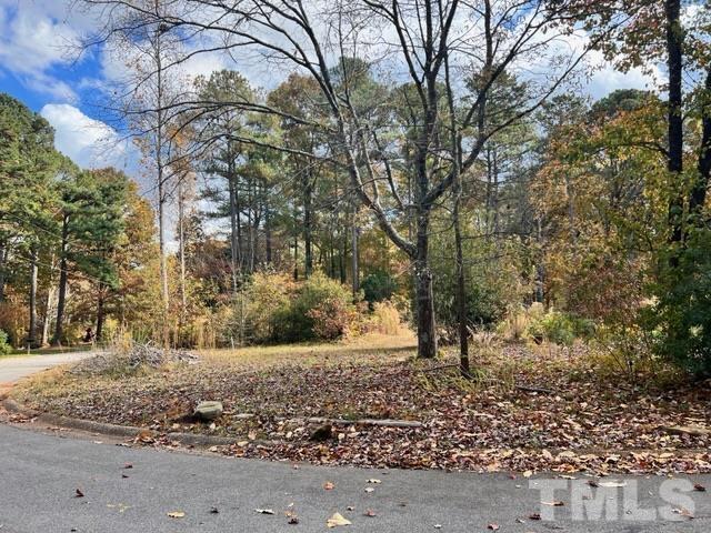 100 Chatterson Drive Raleigh, NC 27615 - Photo 1 of 10 a view of a yard with plants and trees