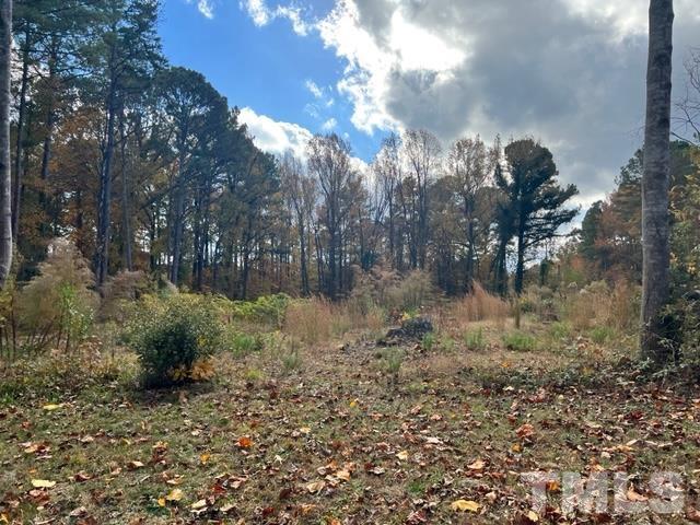 100 Chatterson Drive Raleigh, NC 27615 - Photo 2 of 10 a view of a lake view
