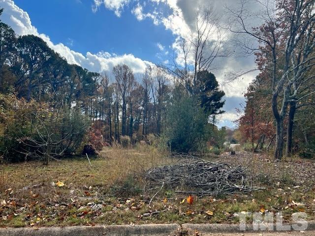 100 Chatterson Drive Raleigh, NC 27615 - Photo 3 of 10 a view of a yard with large trees