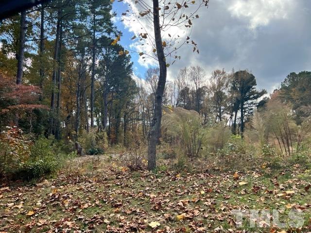 100 Chatterson Drive Raleigh, NC 27615 - Photo 4 of 10 a view of a yard