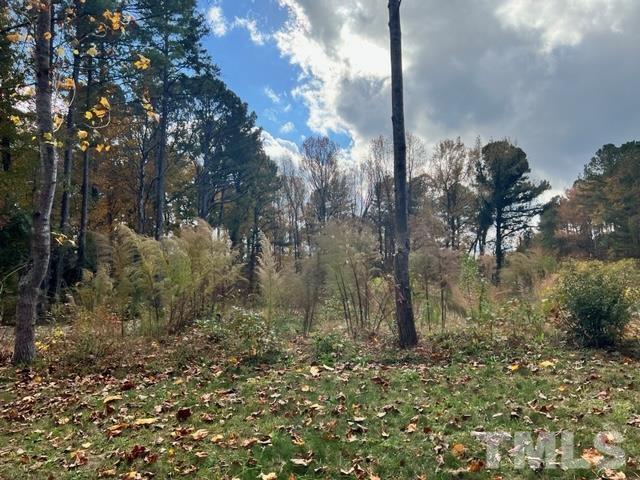 100 Chatterson Drive Raleigh, NC 27615 - Photo 5 of 10 a backyard of a house with lots of green space