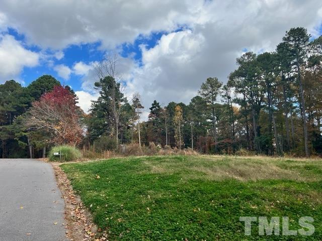 100 Chatterson Drive Raleigh, NC 27615 - Photo 7 of 10 a view of a park