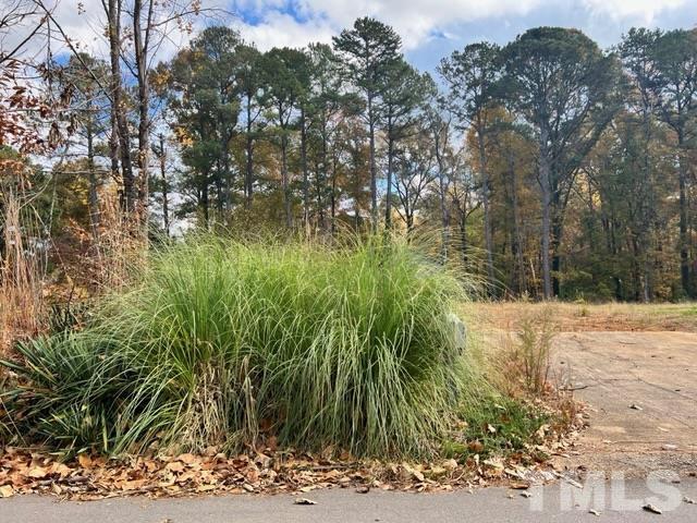 100 Chatterson Drive Raleigh, NC 27615 - Photo 9 of 10 a view of a yard covered with trees
