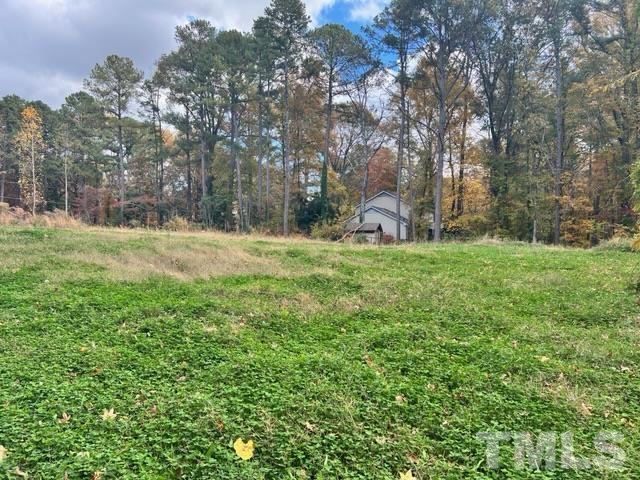 100 Chatterson Drive Raleigh, NC 27615 - Photo 10 of 10 a view of a field with trees