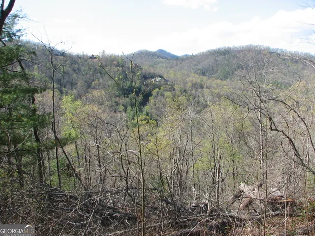 a view of a forest with a mountain