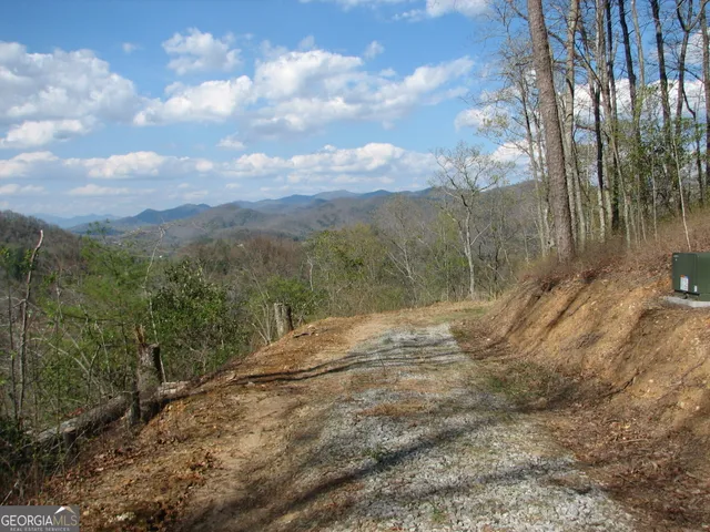 a view of a yard with wooden fence