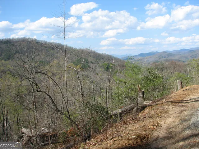 a view of a yard with mountains in the background