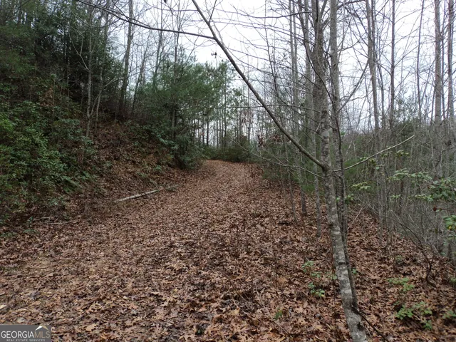 a big yard with lots of green space and plants