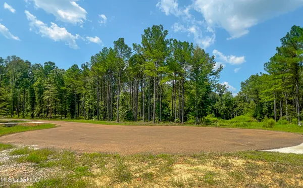 $166,500 | 174 Hunter's Cove, Madison, MS 39110