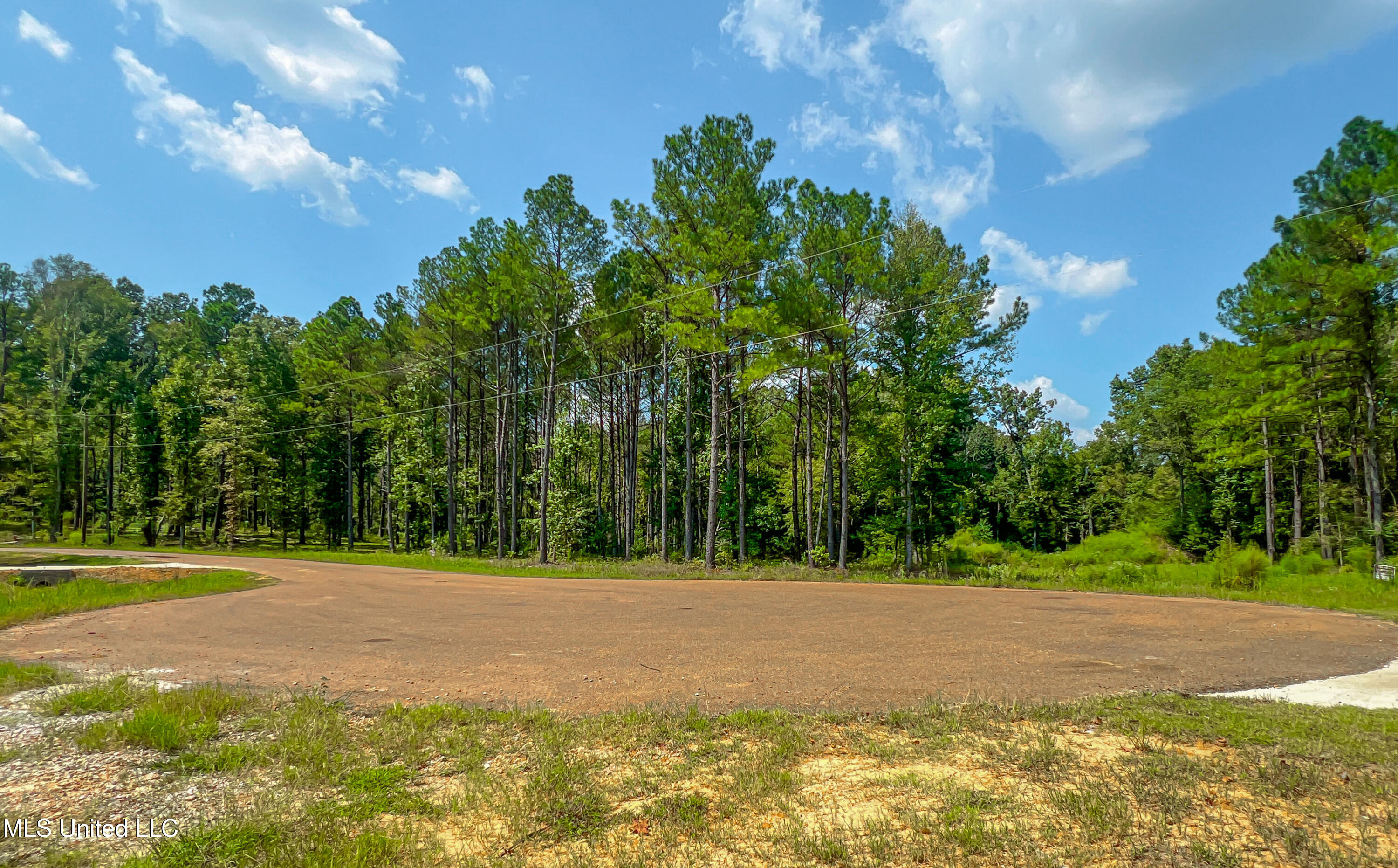 174 Hunter's Cove Madison, MS 39110 - Photo 5 of 10 IMG_7183