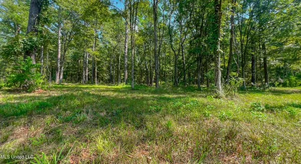 $166,500 | 174 Hunter's Cove, Madison, MS 39110