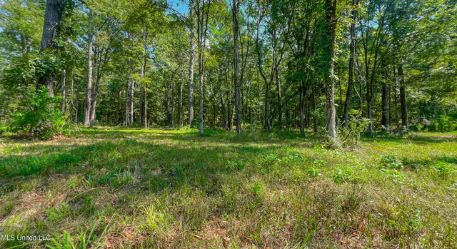 $166,500 | 174 Hunter's Cove, Madison, MS 39110