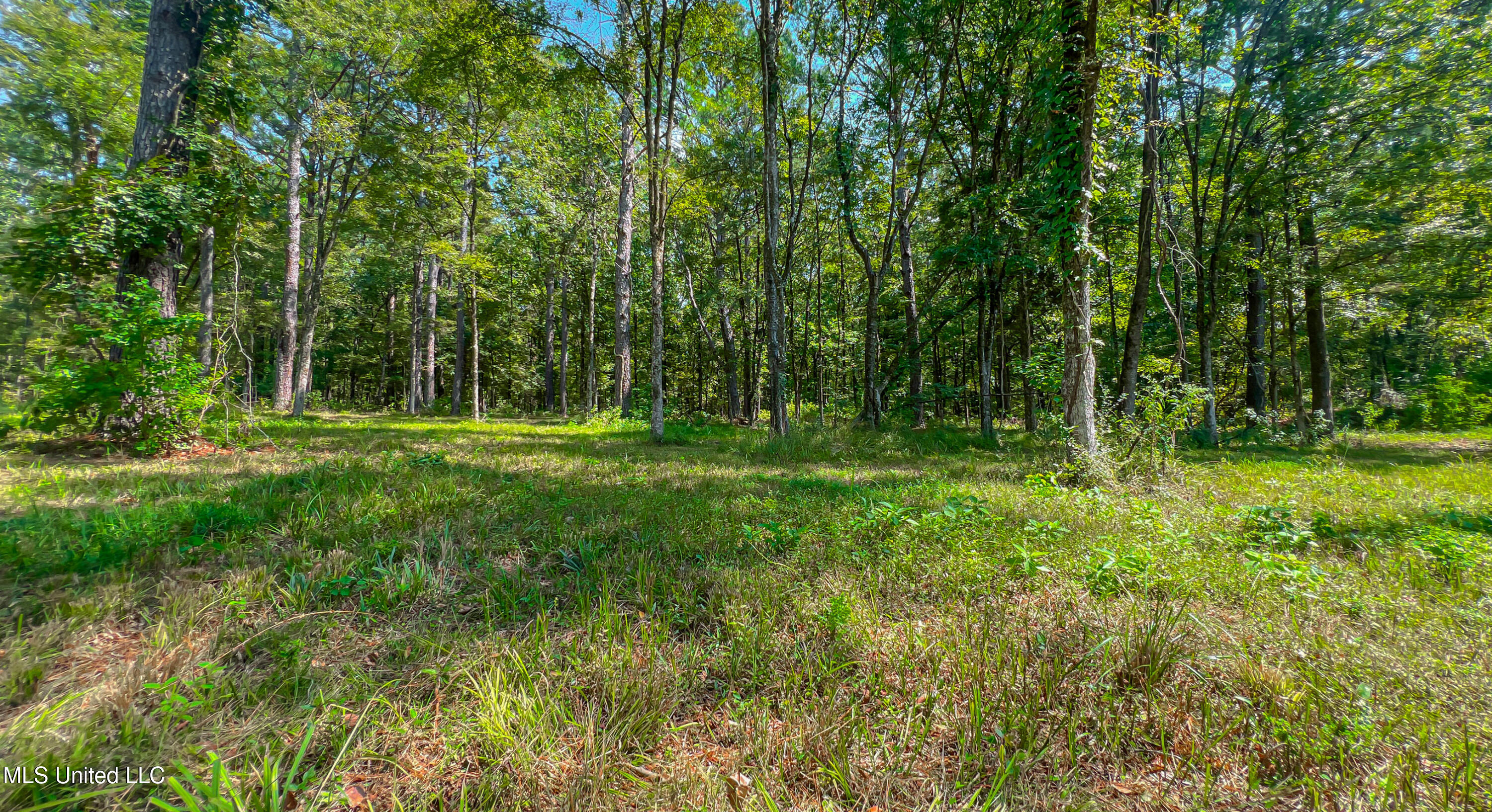 174 Hunter's Cove Madison, MS 39110 - Photo 7 of 10 IMG_7174