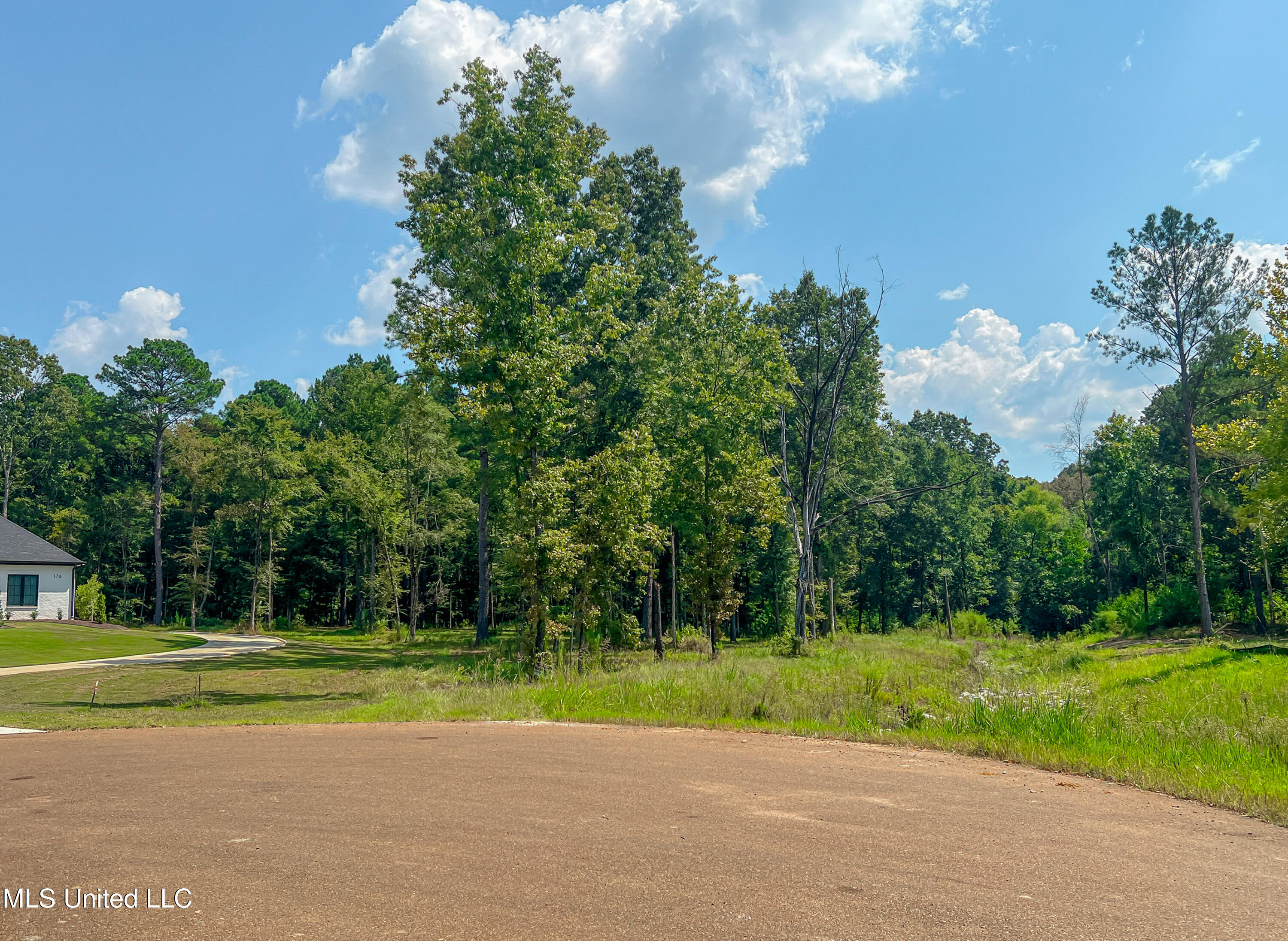 174 Hunter's Cove Madison, MS 39110 - Photo 9 of 10 IMG_7185