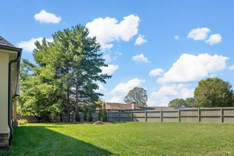 a view of a yard with a trampoline