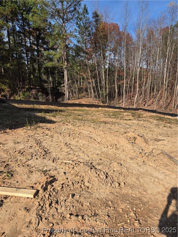 307 One Tree Hill Sanford, NC 27330 - Photo 13 of 15 a view of a yard with wooden fence