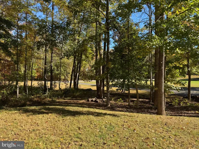 a view of a house with yard and plants
