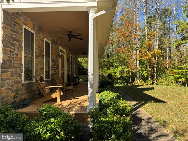 a view of a forest with trees