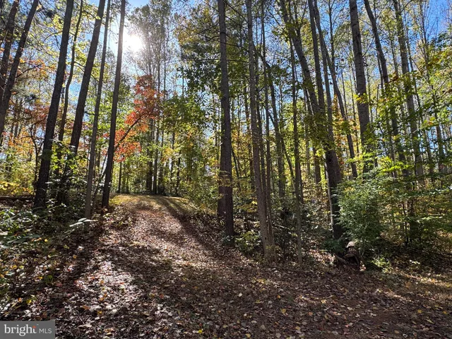a view of a back yard of the house