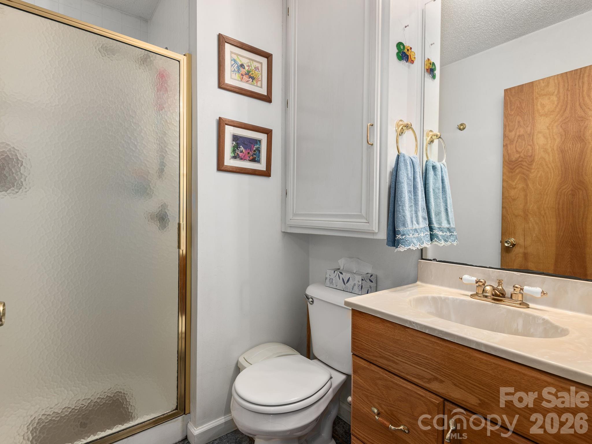 46 Perennial Ridge Weaverville, NC 28787 - Photo 22 of 44