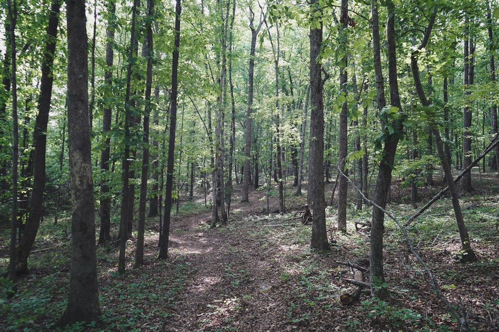 2944 Strawberry Road Chatham, VA 24531 - Photo 39 of 65 Gallery Image 39