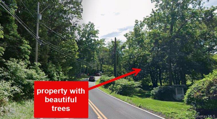 0 Primrose Hill Road Rhinebeck, NY 12572 - Photo 3 of 18 a view of a park that has a tree