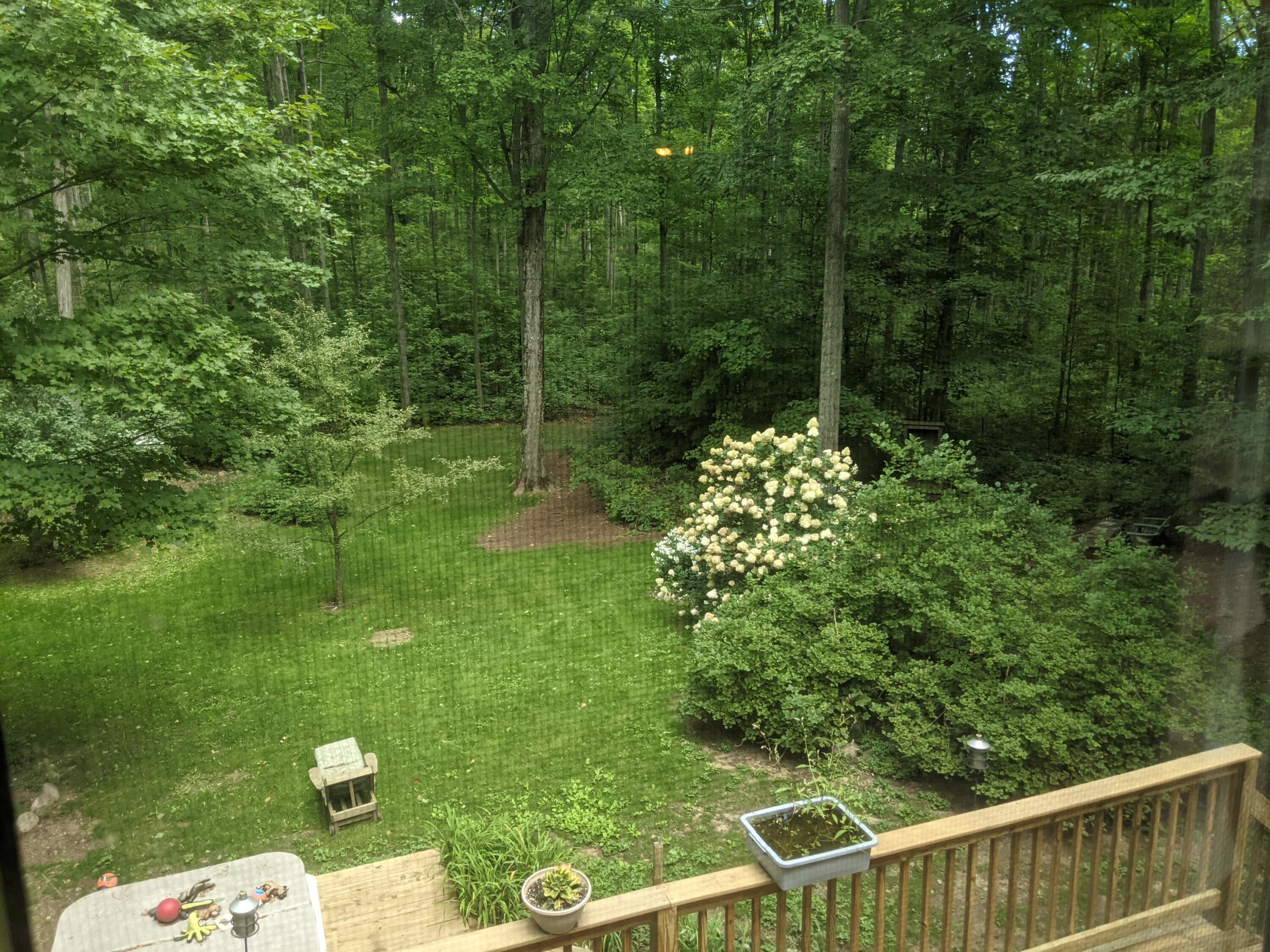 4480 Hallenius Road Gaylord, MI 49735 - Photo 91 of 104 Gallery Image 91