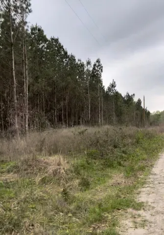 a view of a field with trees in background