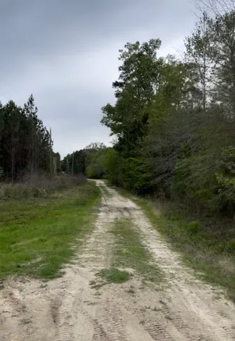 a view of a water pond with green space