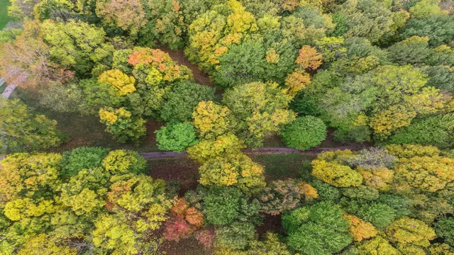 $939,900 | 5563 West Spring Creek Road, Three Oaks, MI 49128