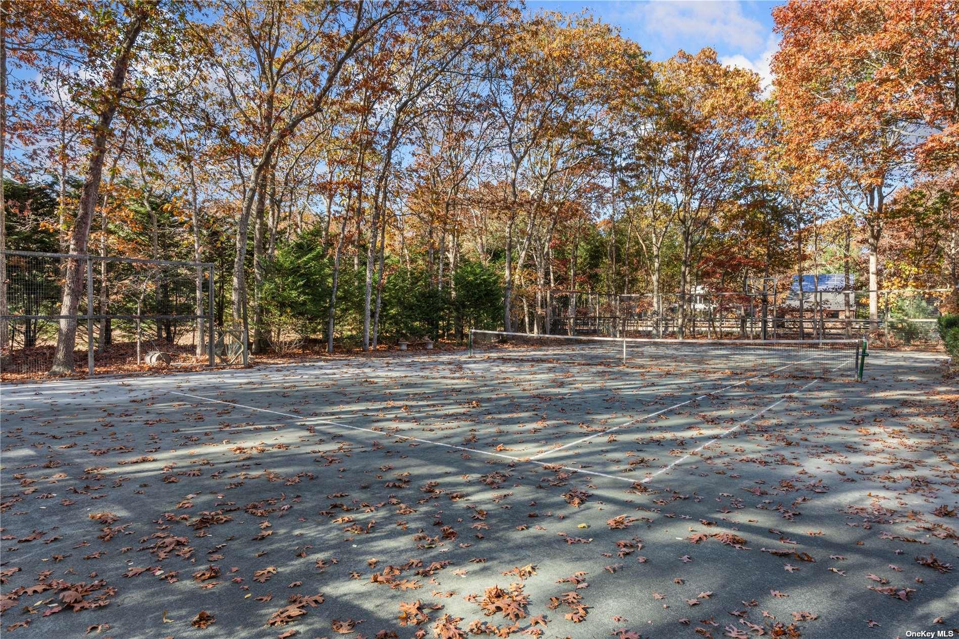 25 North Quarter Road Westhampton, NY 11977 - Photo 24 of 27 a view of road with trees