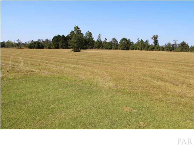 8400 Cedar Springs Road Molino, FL 32577 - Photo 3 of 5 Bring you horses!